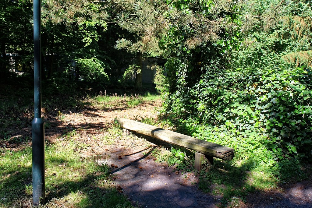CP0517 (119).jpg